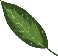 herbs-madras herbs-madras
