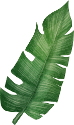 spices-herbs-leaf spices-herbs-leaf